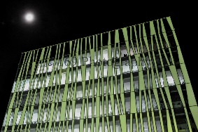 Library at Night (copyright).jpg